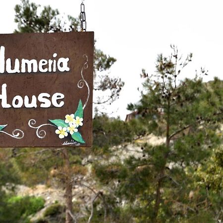 Plumeria House Αρχάγγελος Εξωτερικό φωτογραφία