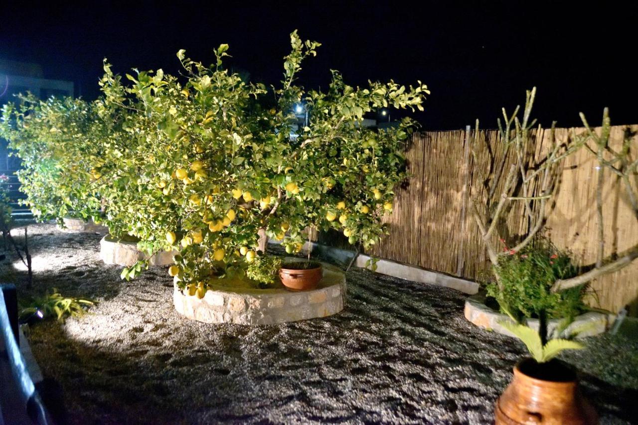 Plumeria House Αρχάγγελος Εξωτερικό φωτογραφία